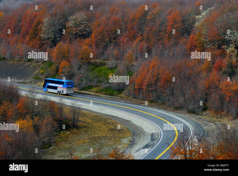 autobus en carretera ruta nacional argentina