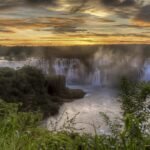 Cuáles son los derechos del medio ambiente reconocidos en Argentina bosque-argentino-con-rio-cristalino-al-amanecer