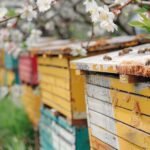 Qué Es El Mundo De Las Abejas Y Por Qué Es Importante Para Niños colmena-con-abejas-polinizando-flores-coloridas