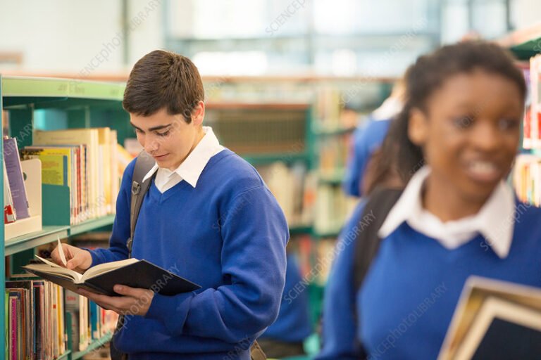 Cómo puedo rendir materias adeudadas del secundario en Argentina 2 estudiante estudiando libros en biblioteca secundaria