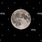 Cuándo se produce la Luna Llena y cómo se puede calcular fase-de-luna-llena-en-cielo-nocturno-claro