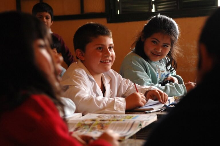 A Qué Edad Se Puede Hacer Un Intercambio Estudiantil En Argentina