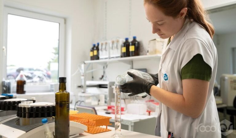 En qué consiste la carrera de ingeniería en alimentos y qué salida tiene 5 En qué consiste la carrera de ingeniería en alimentos y qué salida tiene