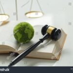 Cuál es la Mejor Guía de Estudio para Derecho Internacional Público libros-y-balanza-del-derecho-internacional