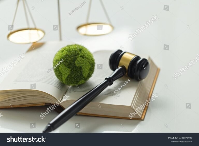 Cuál es la Mejor Guía de Estudio para Derecho Internacional Público 18 libros y balanza del derecho internacional