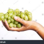 Qué Significa "Uvas" En Un Crédito Y Cómo Afecta Tu Préstamo manos-sosteniendo-uvas-sobre-contratos-financieros
