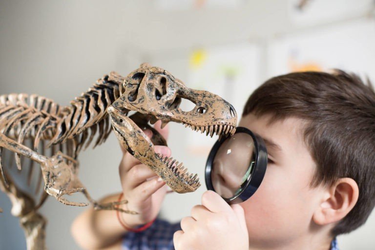 Qué Aprenden Los Niños Sobre El Tiranosaurio Rex De Forma Divertida 2 ninos explorando fosiles de dinosaurios felices