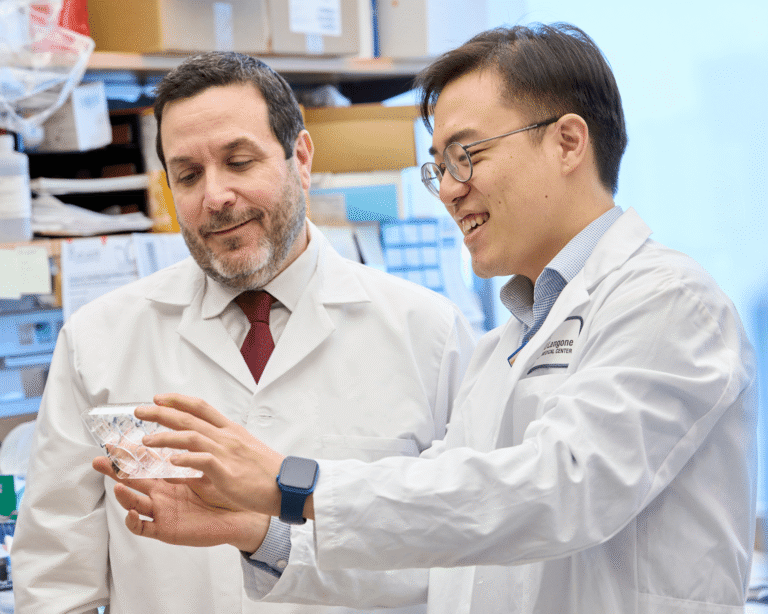 Cómo enviar el CV correctamente a laboratorios para conseguir empleo