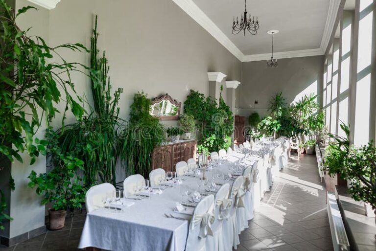 planta verde decorativa en mesa elegante